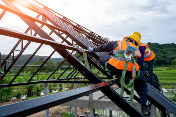 Best New Roof Installation  in Albany, WI
