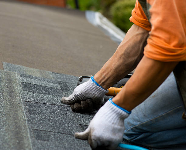 Best Shingle Roofing Installation  in Albany, WI