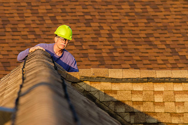 Best Roof Leak Repair  in Albany, WI