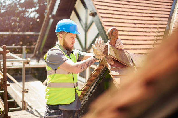 Best Storm Damage Roof Repair  in Albany, WI